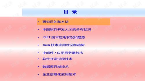 2006-2007年中國軟件技術應用現狀與趨勢分析——兼論精品創業計劃書模板與技術交流